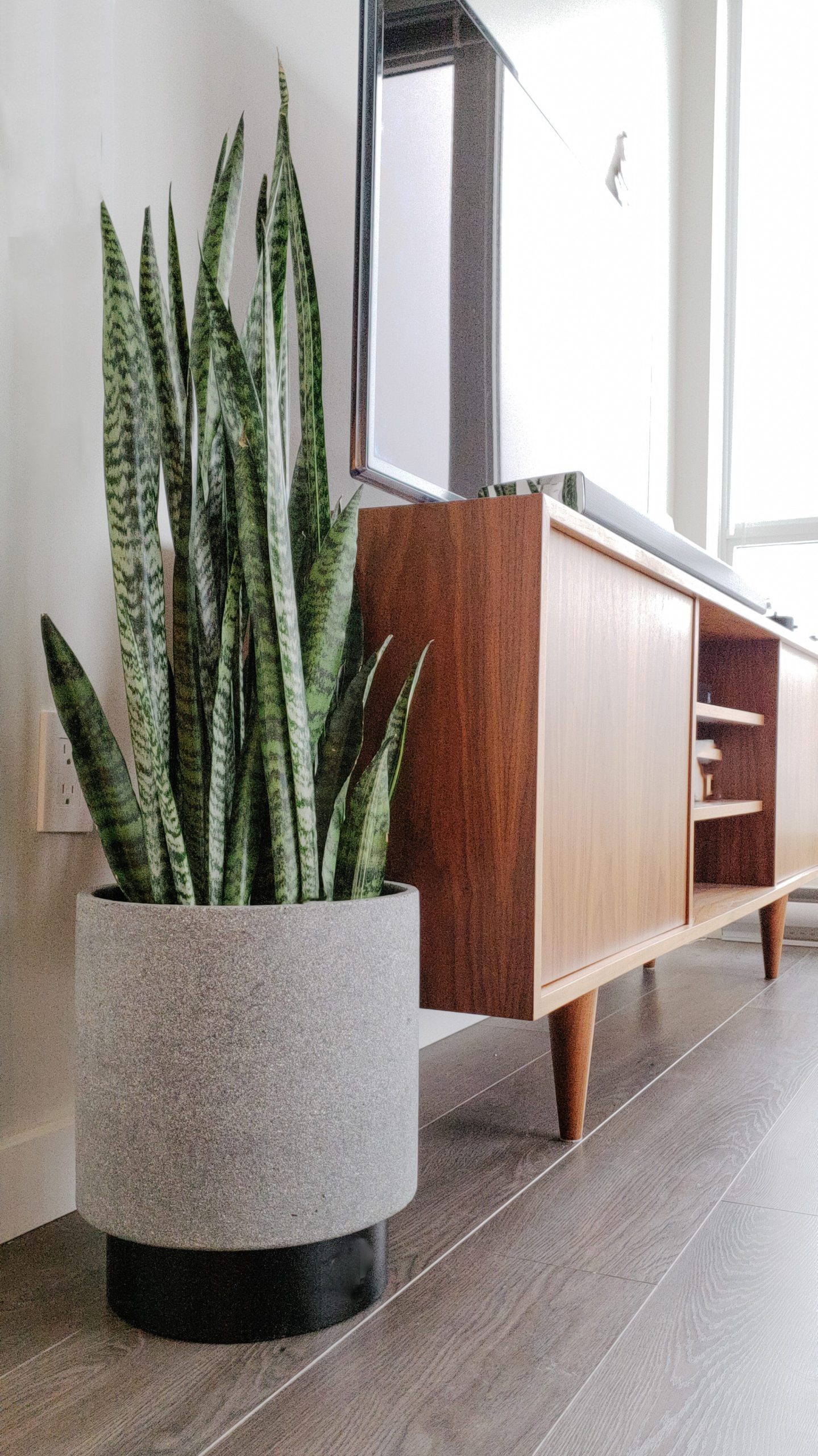 mid century planters