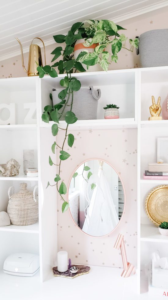 best plants for shelving and interior design