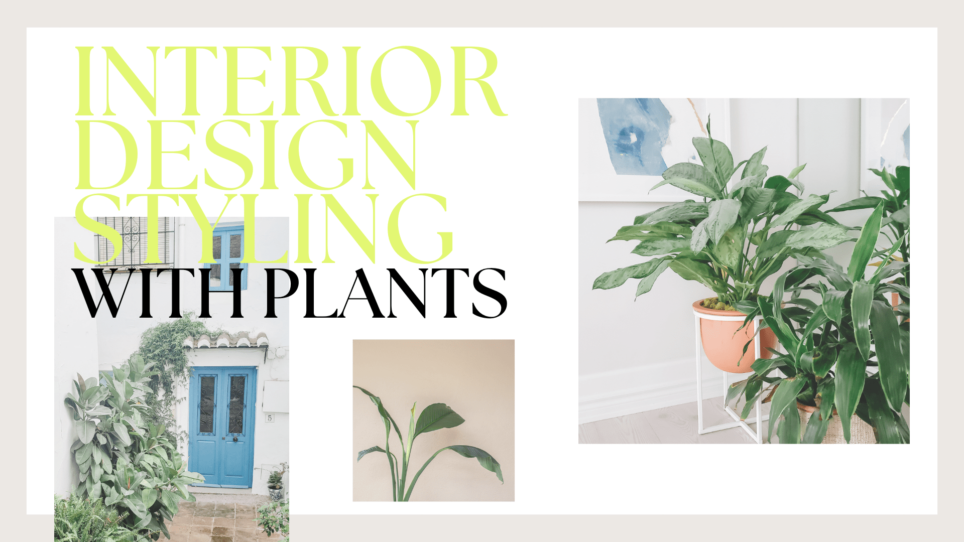 interior design styling with plants